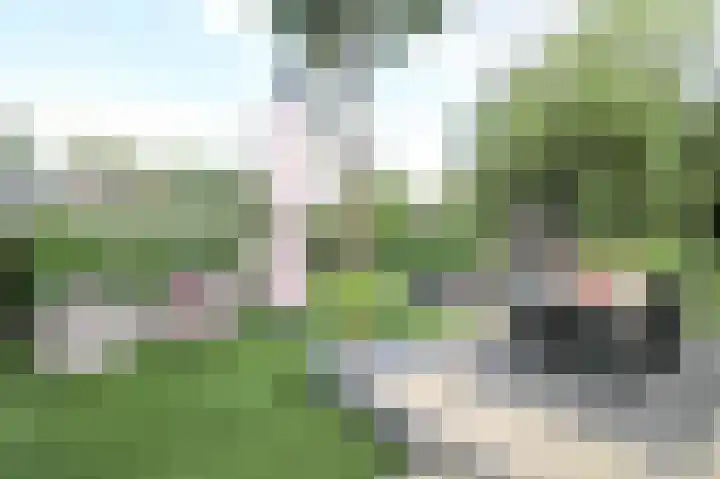Zevenbergjesweg 13 50 Voorthuizen thumbnail 34