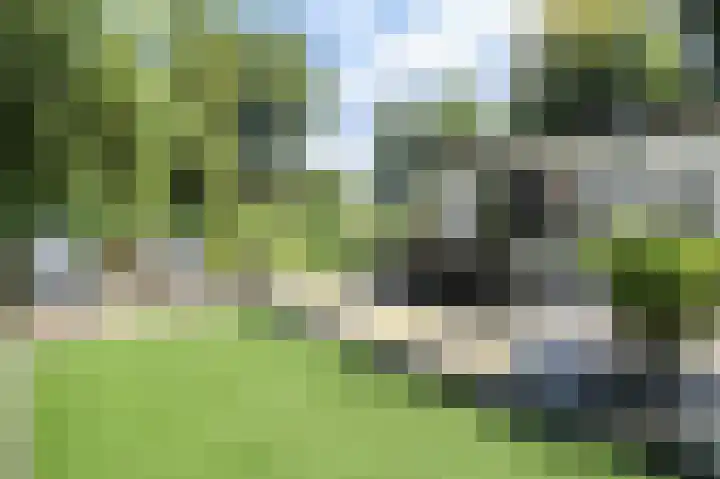 Zevenbergjesweg 13 50 Voorthuizen thumbnail 35