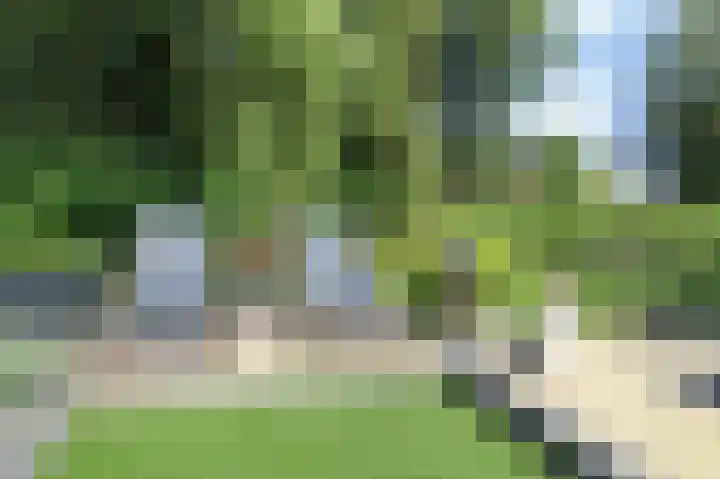 Zevenbergjesweg 13 50 Voorthuizen thumbnail 36