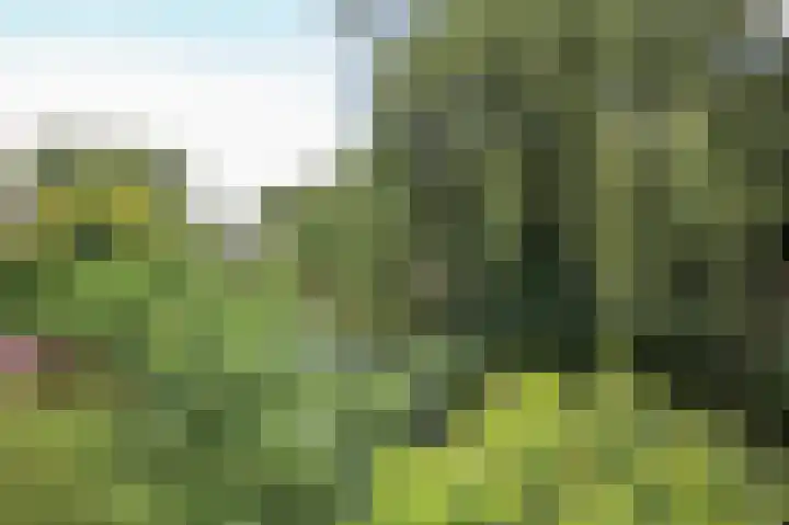 Zevenbergjesweg 13 50 Voorthuizen thumbnail 38