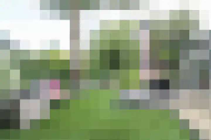 Zevenbergjesweg 13 50 Voorthuizen thumbnail 40