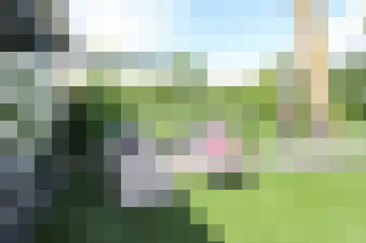 Zevenbergjesweg 13 50 Voorthuizen thumbnail 43