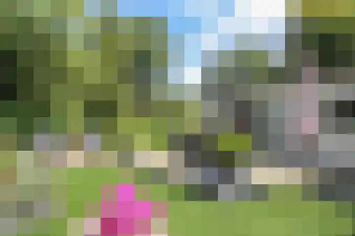 Zevenbergjesweg 13 50 Voorthuizen thumbnail 44