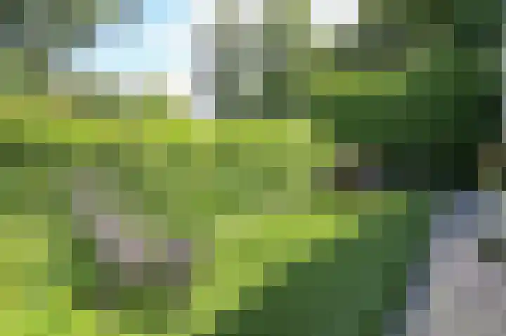 Zevenbergjesweg 13 50 Voorthuizen thumbnail 45