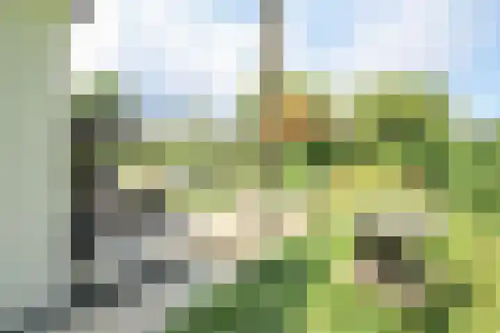 Zevenbergjesweg 13 50 Voorthuizen thumbnail 47
