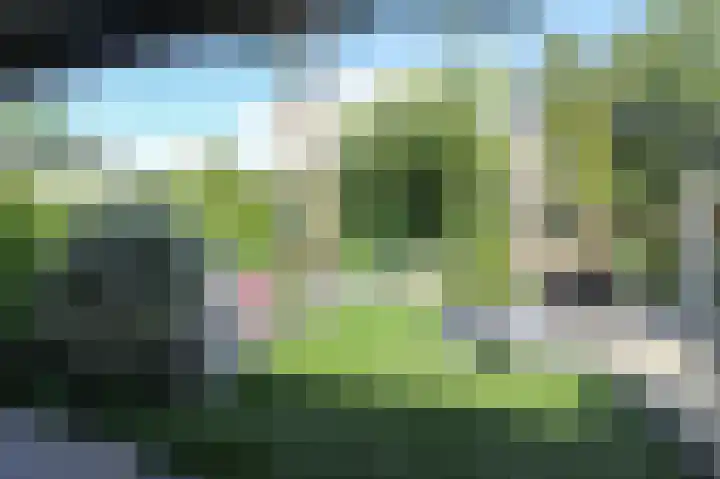 Zevenbergjesweg 13 50 Voorthuizen thumbnail 49