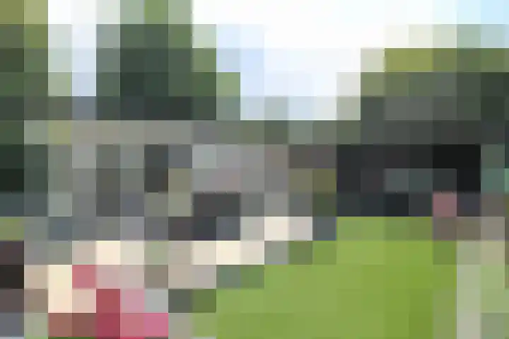 Zevenbergjesweg 13 50 Voorthuizen thumbnail 53