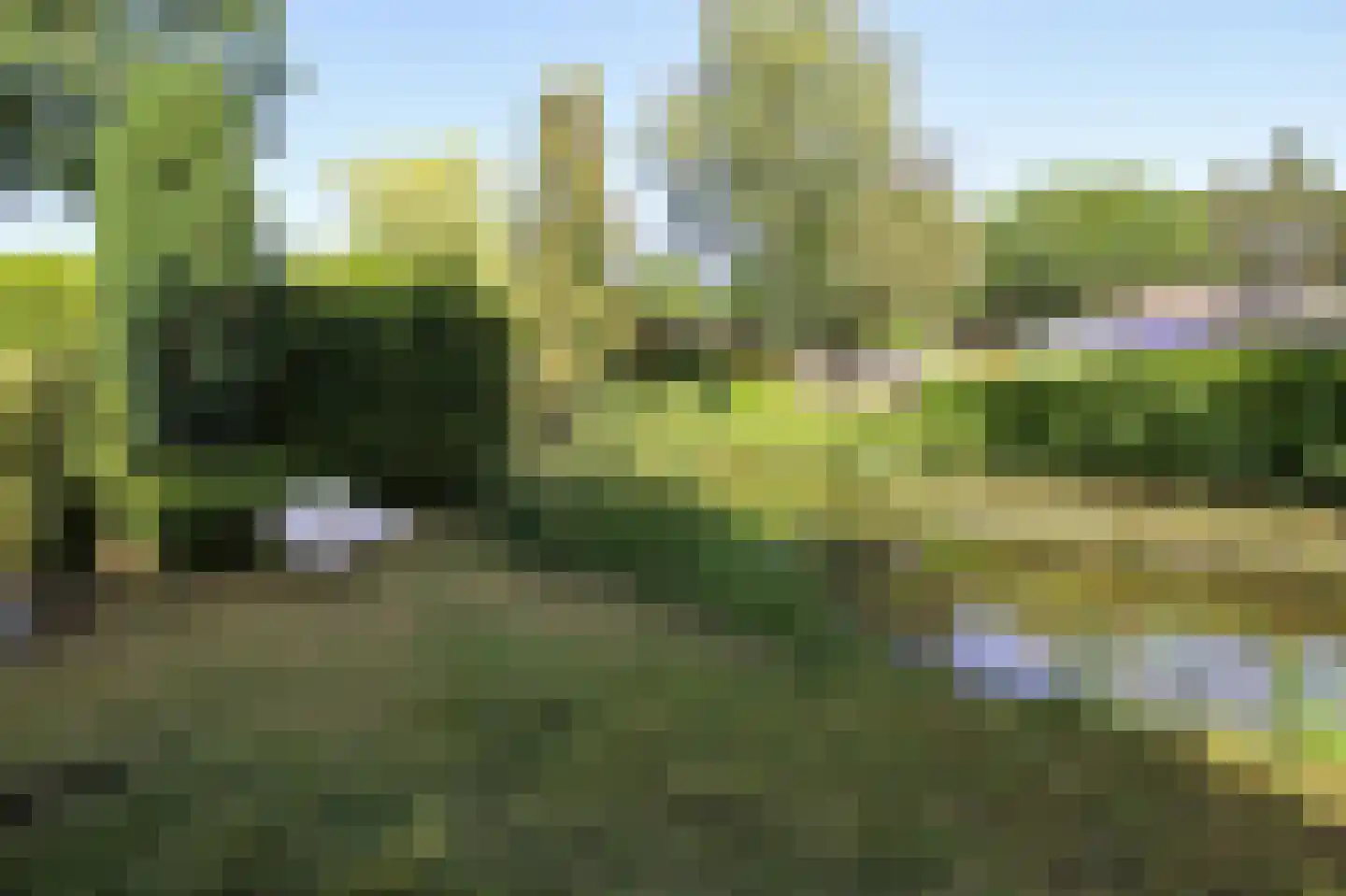 Zevenbergjesweg 13 51 Voorthuizen thumbnail 25
