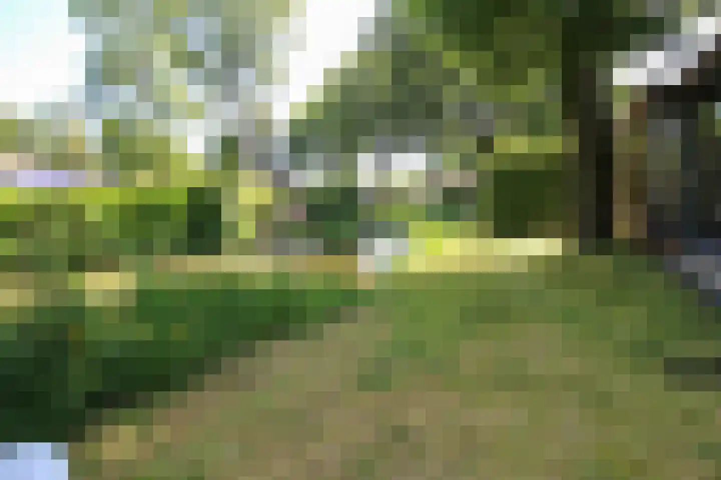 Zevenbergjesweg 13 51 Voorthuizen thumbnail 26