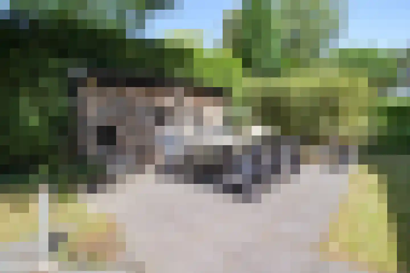 Zevenbergjesweg 13 51 Voorthuizen thumbnail 28
