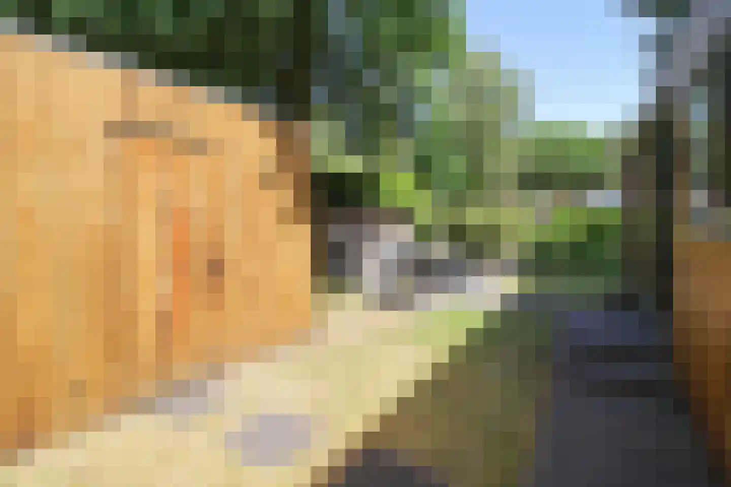 Zevenbergjesweg 13 51 Voorthuizen thumbnail 30