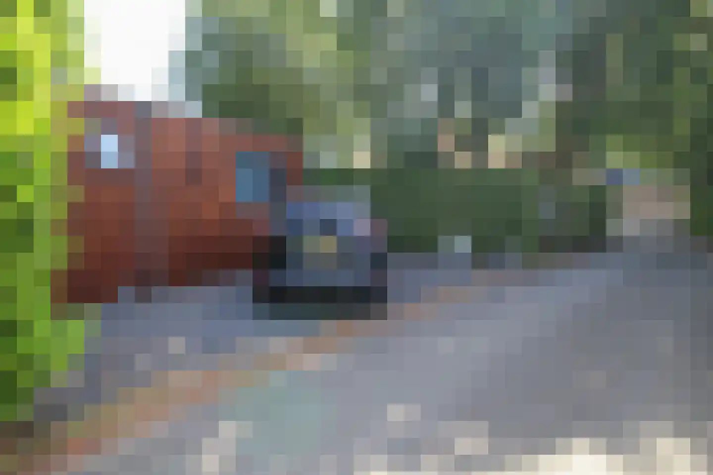Zevenbergjesweg 13 51 Voorthuizen thumbnail 33