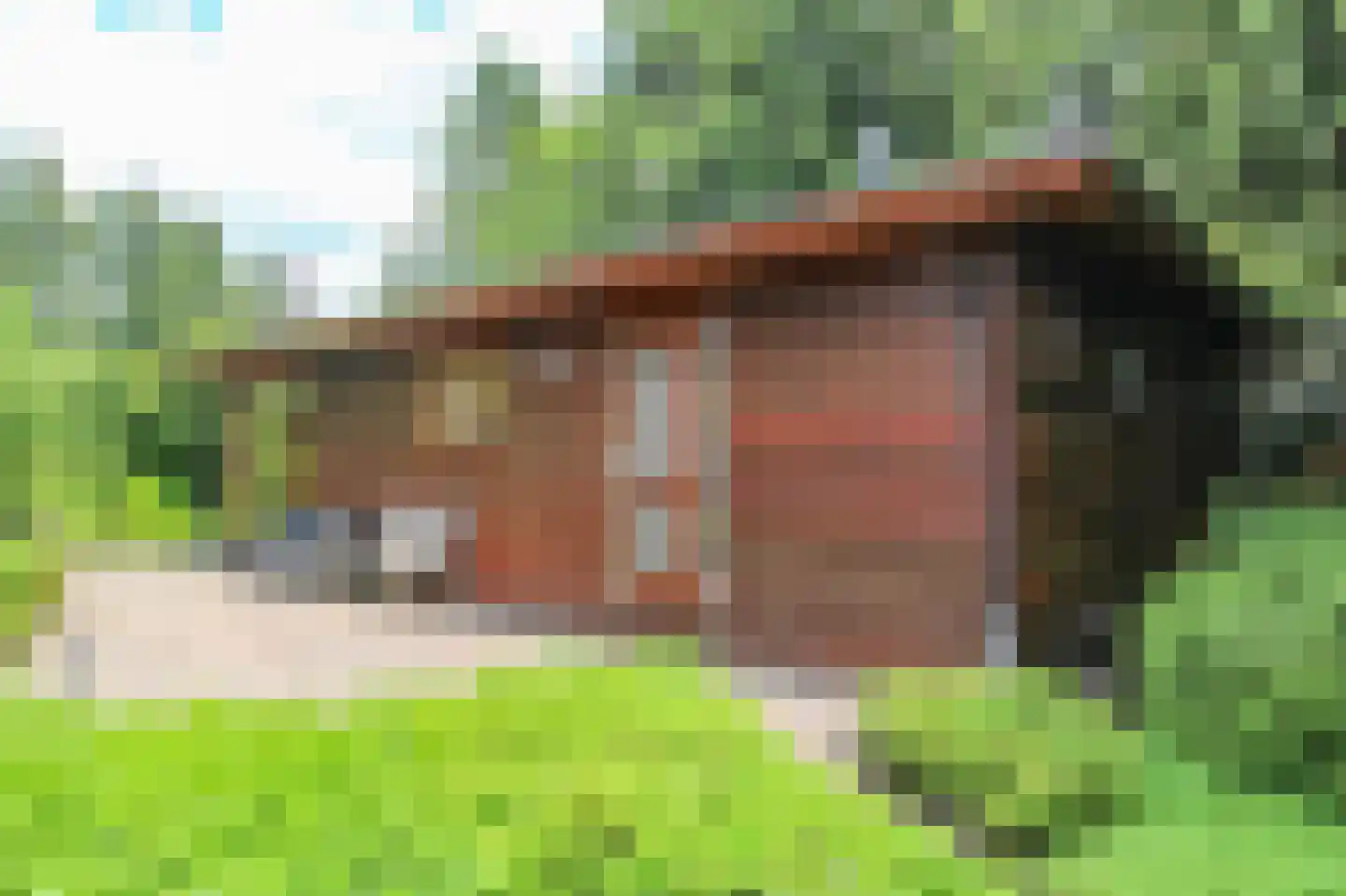 Zevenbergjesweg 27 119 Voorthuizen thumbnail 32