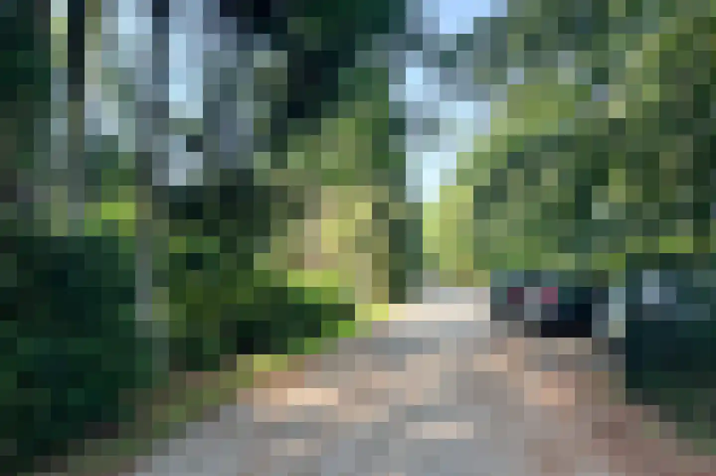 Zevenbergjesweg 27 119 Voorthuizen thumbnail 37