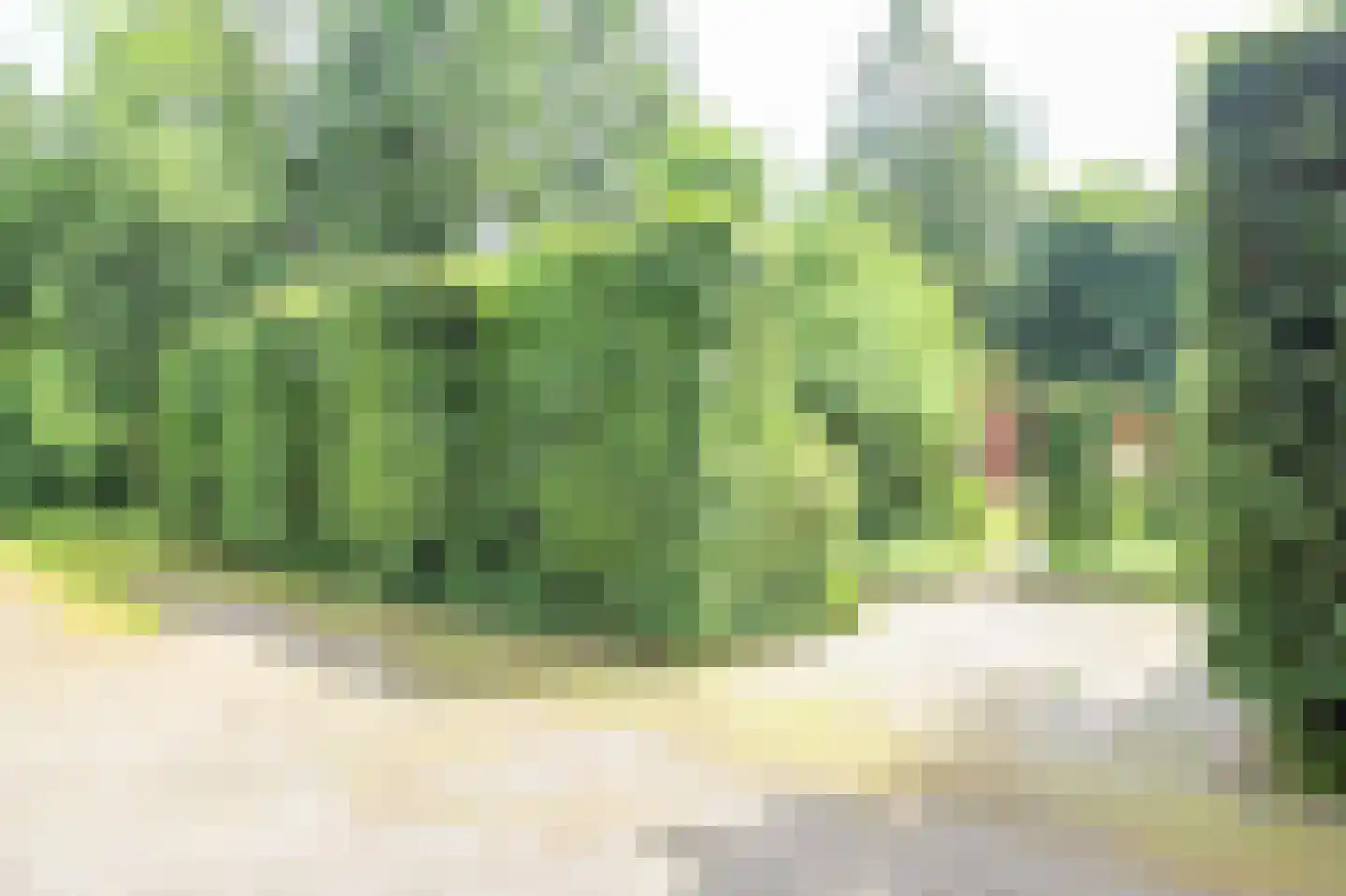 Zevenbergjesweg 27 119 Voorthuizen thumbnail 40