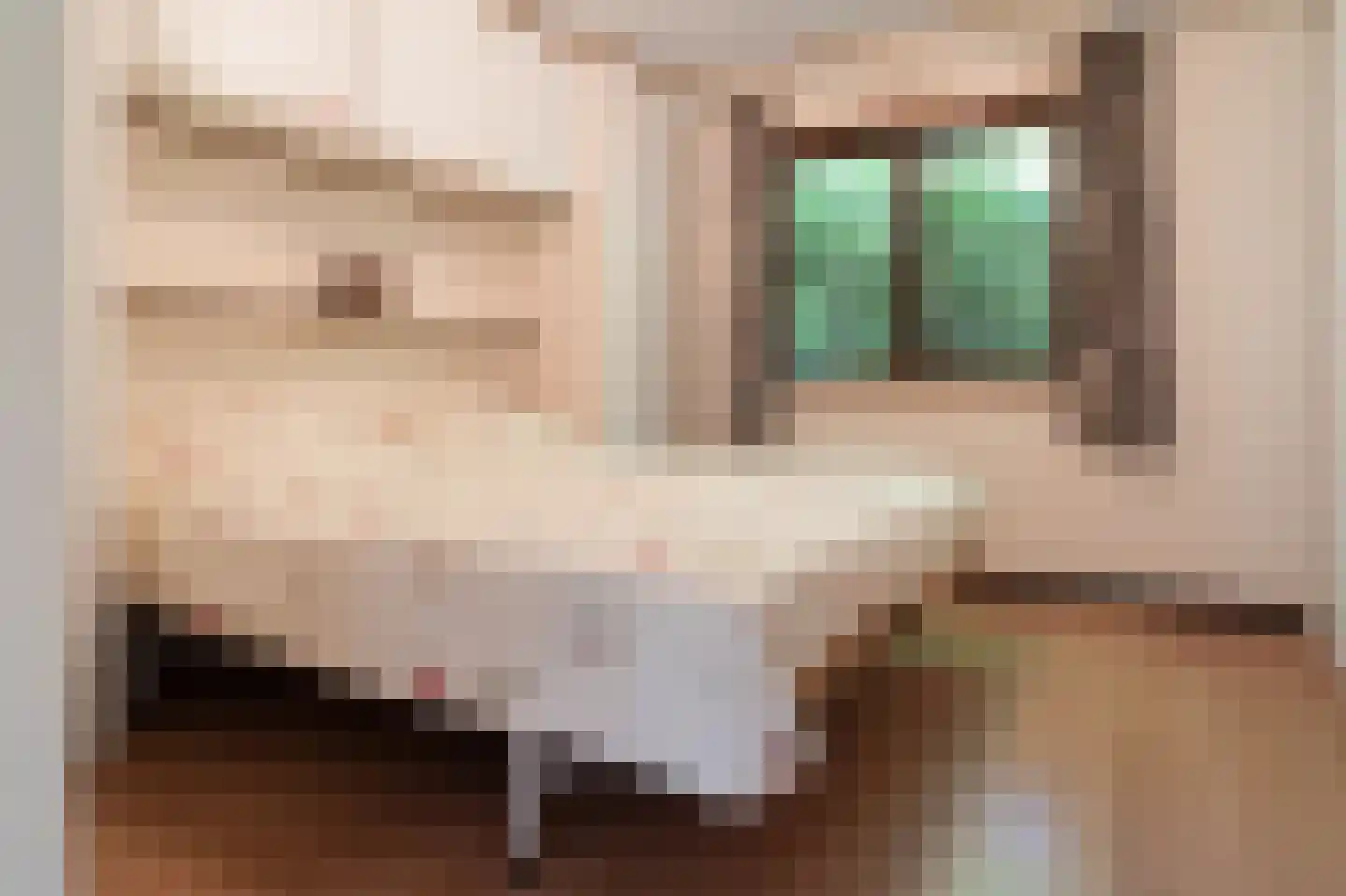 Zevenbergjesweg 27 FA15 Voorthuizen thumbnail 14