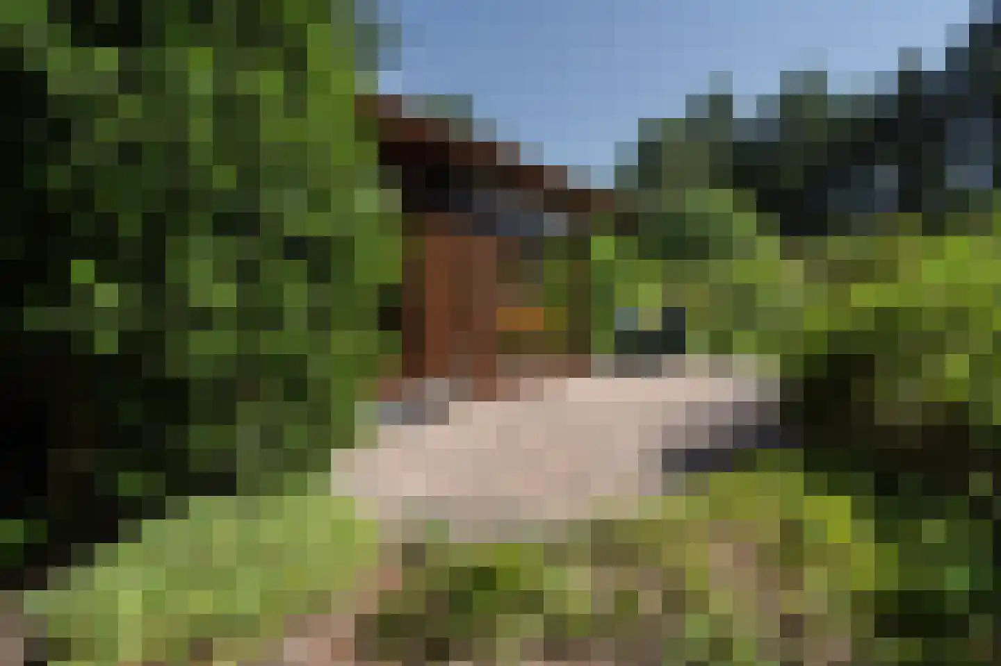 Zevenbergjesweg 27 FA15 Voorthuizen thumbnail 23