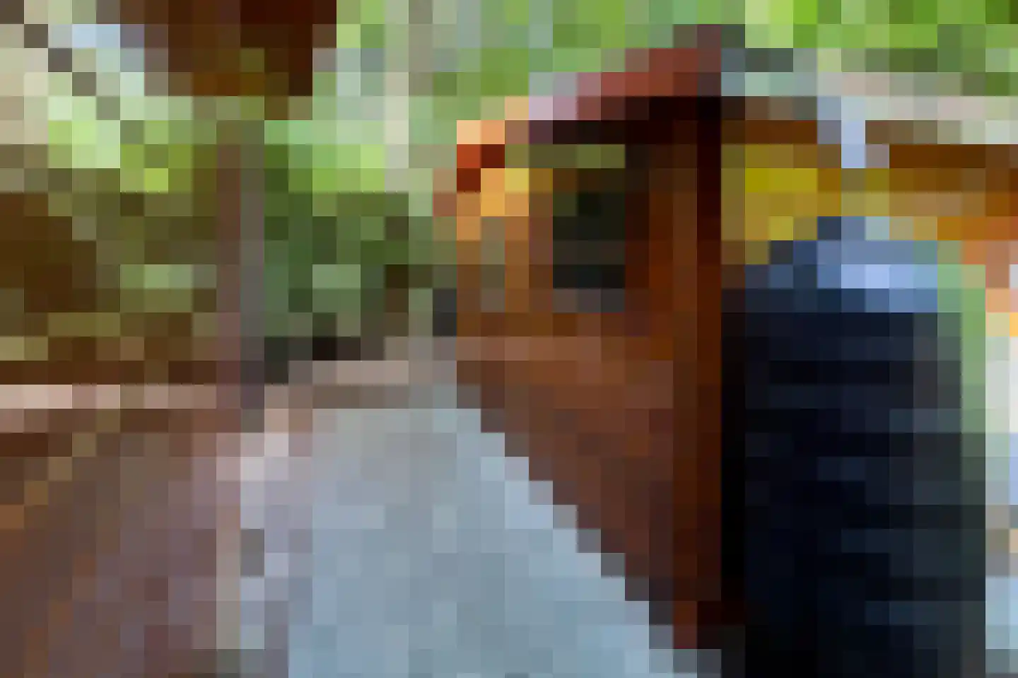 Zevenbergjesweg 27 FA15 Voorthuizen thumbnail 32
