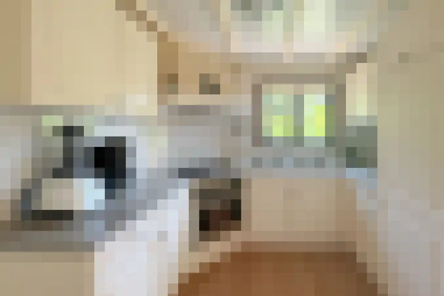 Zevenbergjesweg 27 FA15 Voorthuizen thumbnail 8