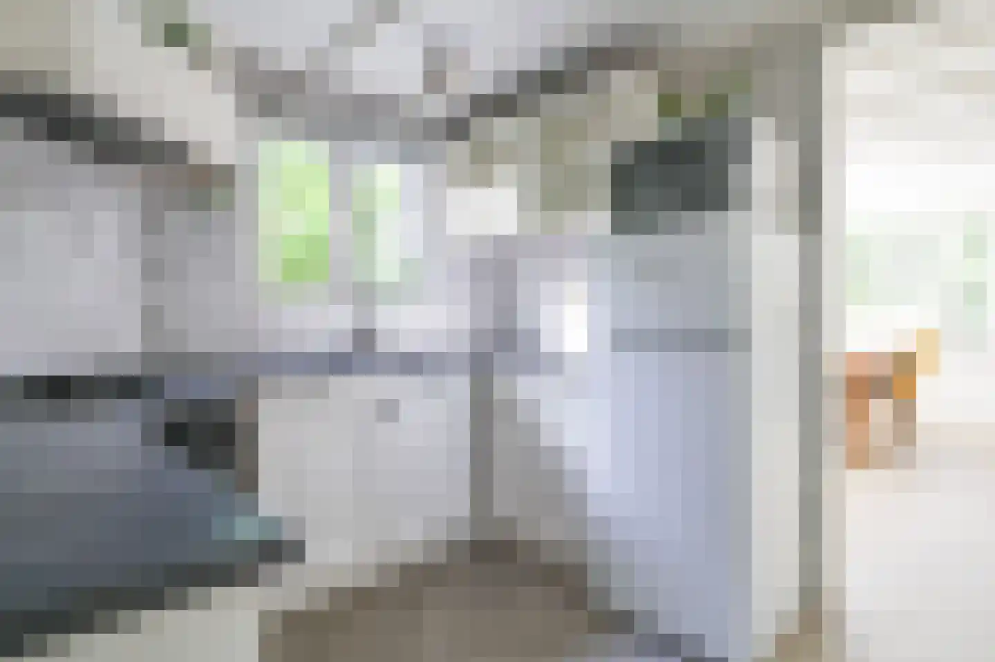 Zevenbergjesweg 27 K3 Voorthuizen thumbnail 17