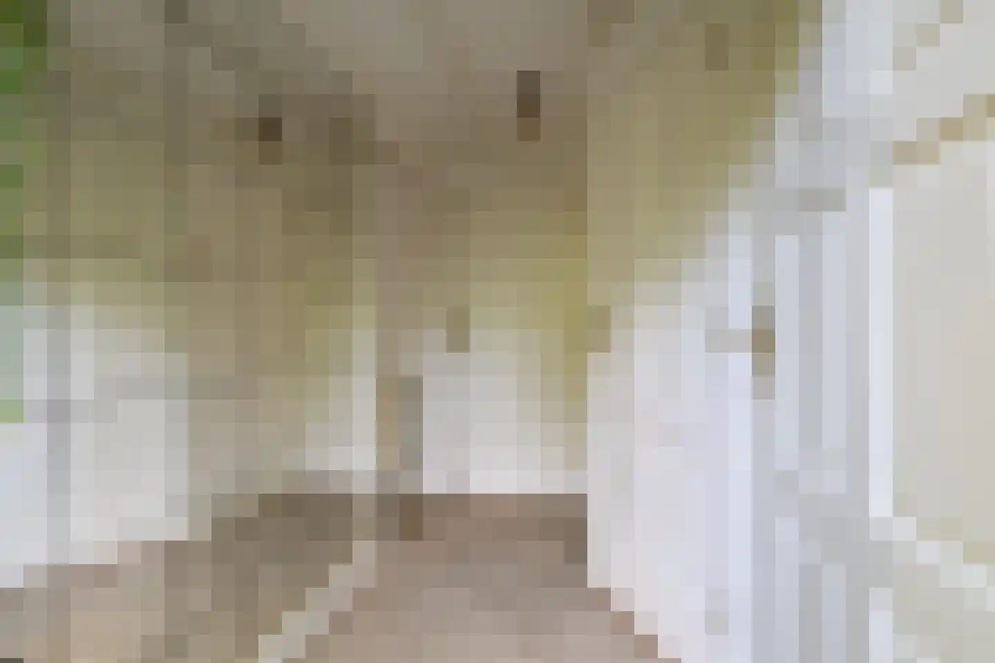 Zevenbergjesweg 27 K3 Voorthuizen thumbnail 24