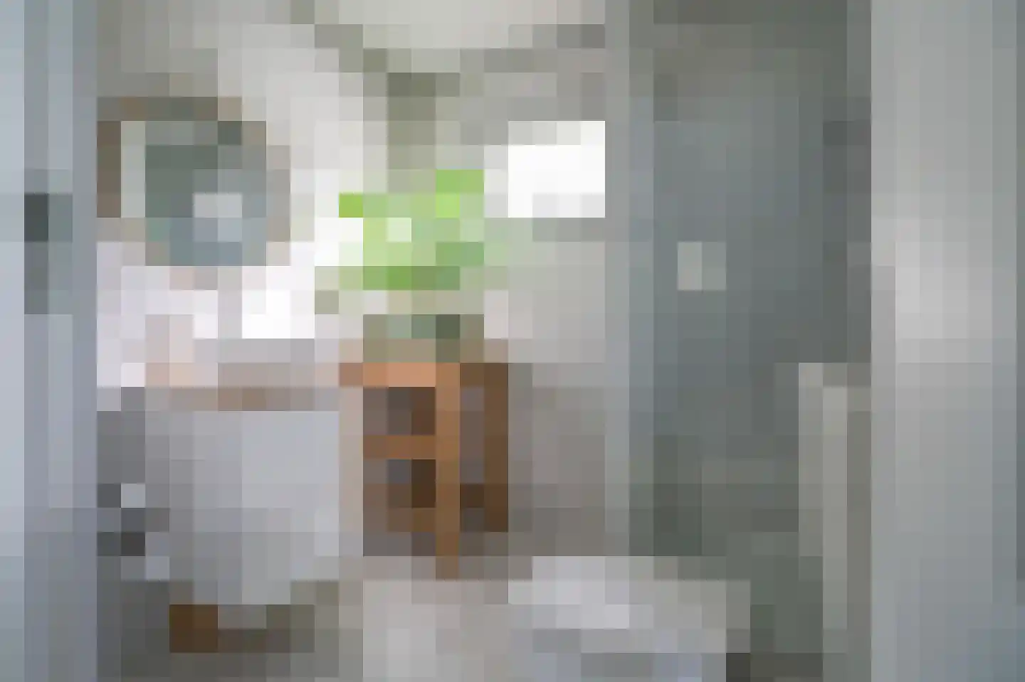 Zevenbergjesweg 27 K3 Voorthuizen thumbnail 25
