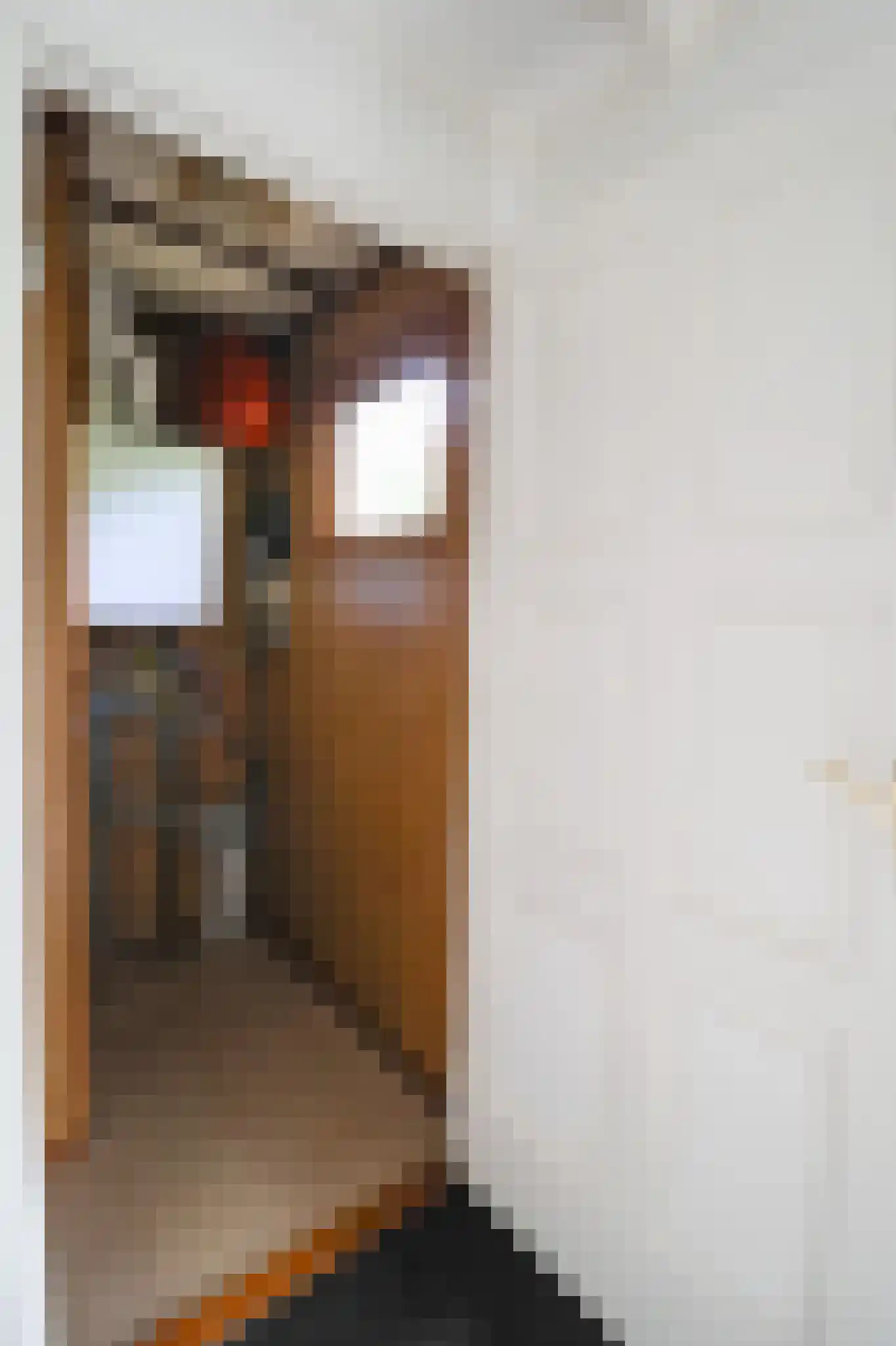Zevenbergjesweg 27 K3 Voorthuizen thumbnail 31