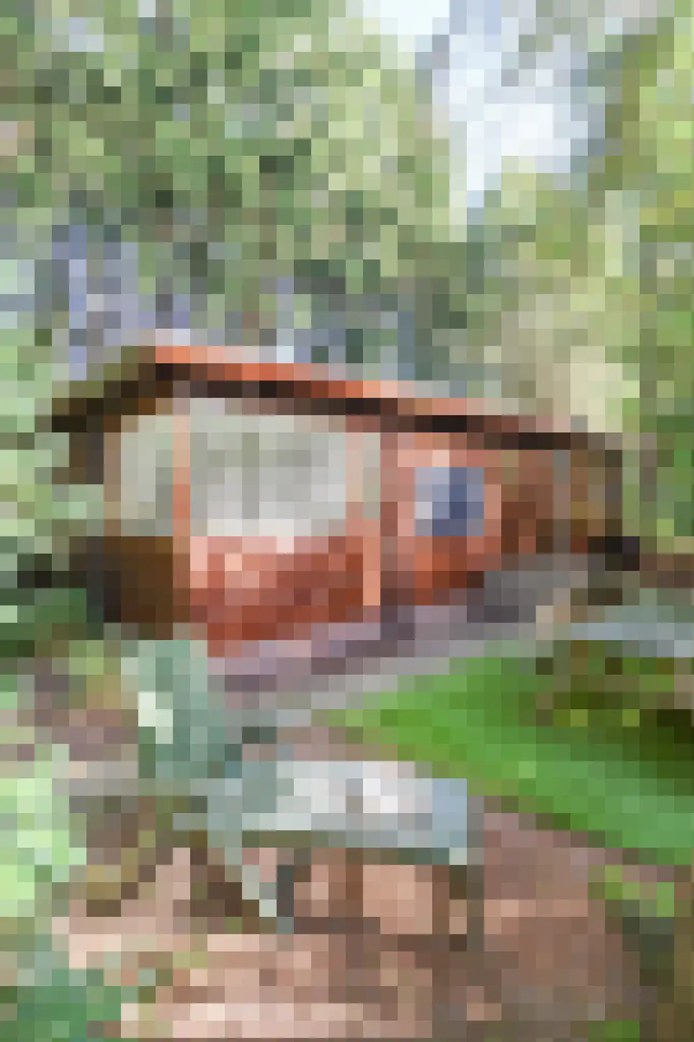 Zevenbergjesweg 27 K3 Voorthuizen thumbnail 35