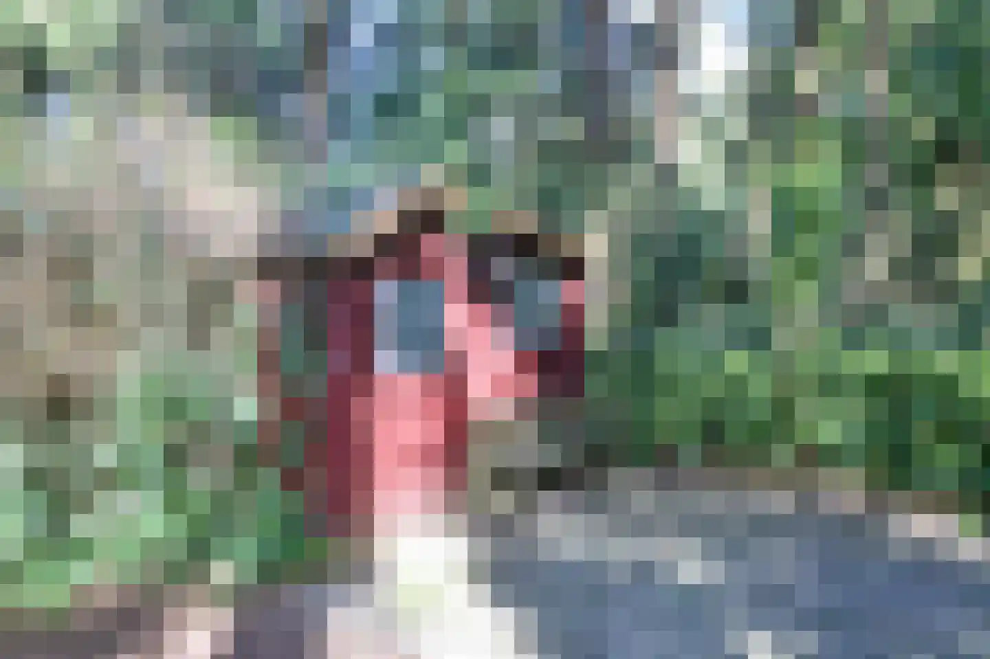 Zevenbergjesweg 27 K3 Voorthuizen thumbnail 40