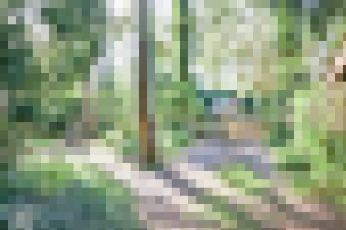 Zevenbergjesweg 27 K3 Voorthuizen thumbnail 42