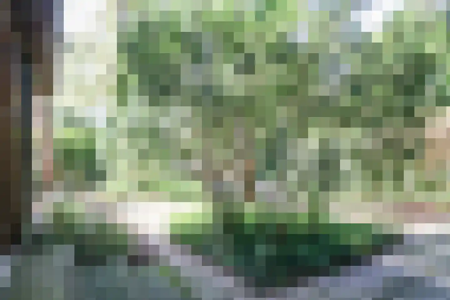 Zevenbergjesweg 27 K3 Voorthuizen thumbnail 43