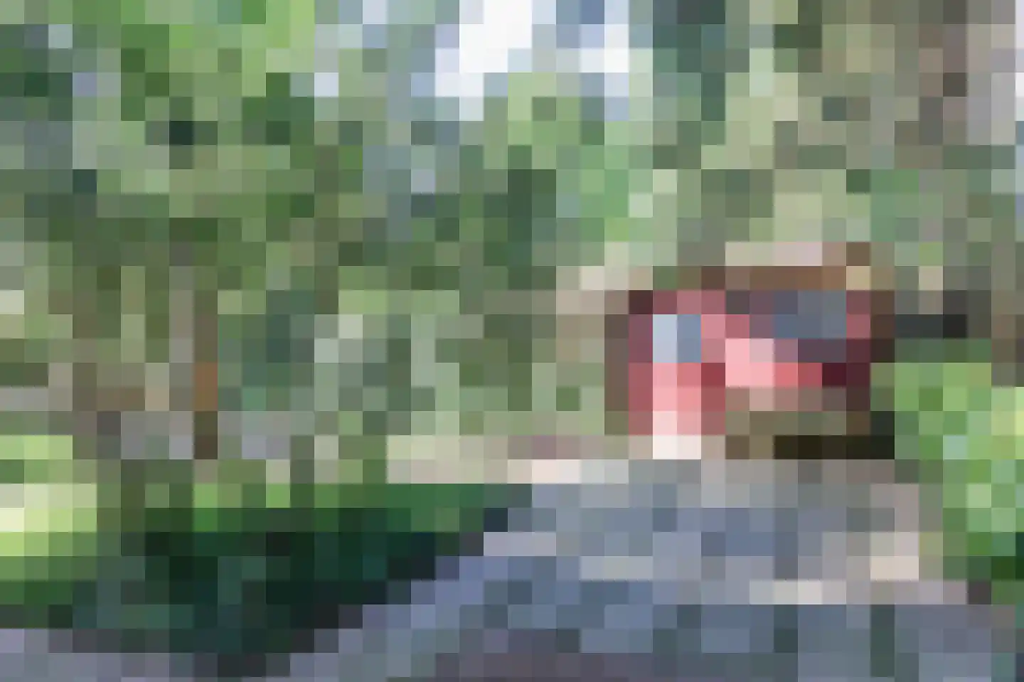 Zevenbergjesweg 27 K3 Voorthuizen thumbnail 44