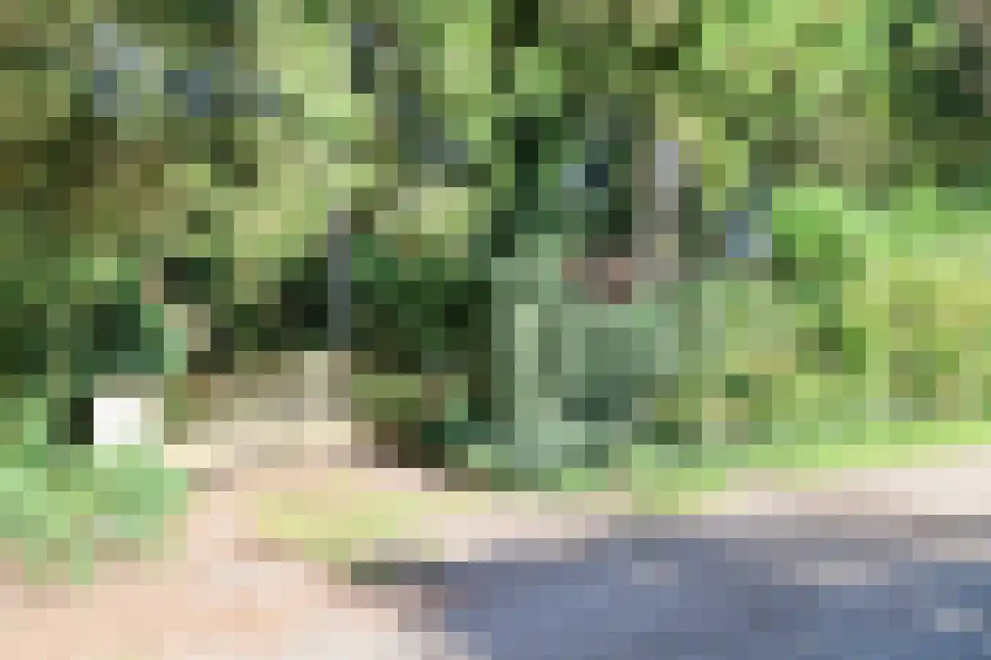 Zevenbergjesweg 27 K3 Voorthuizen thumbnail 45