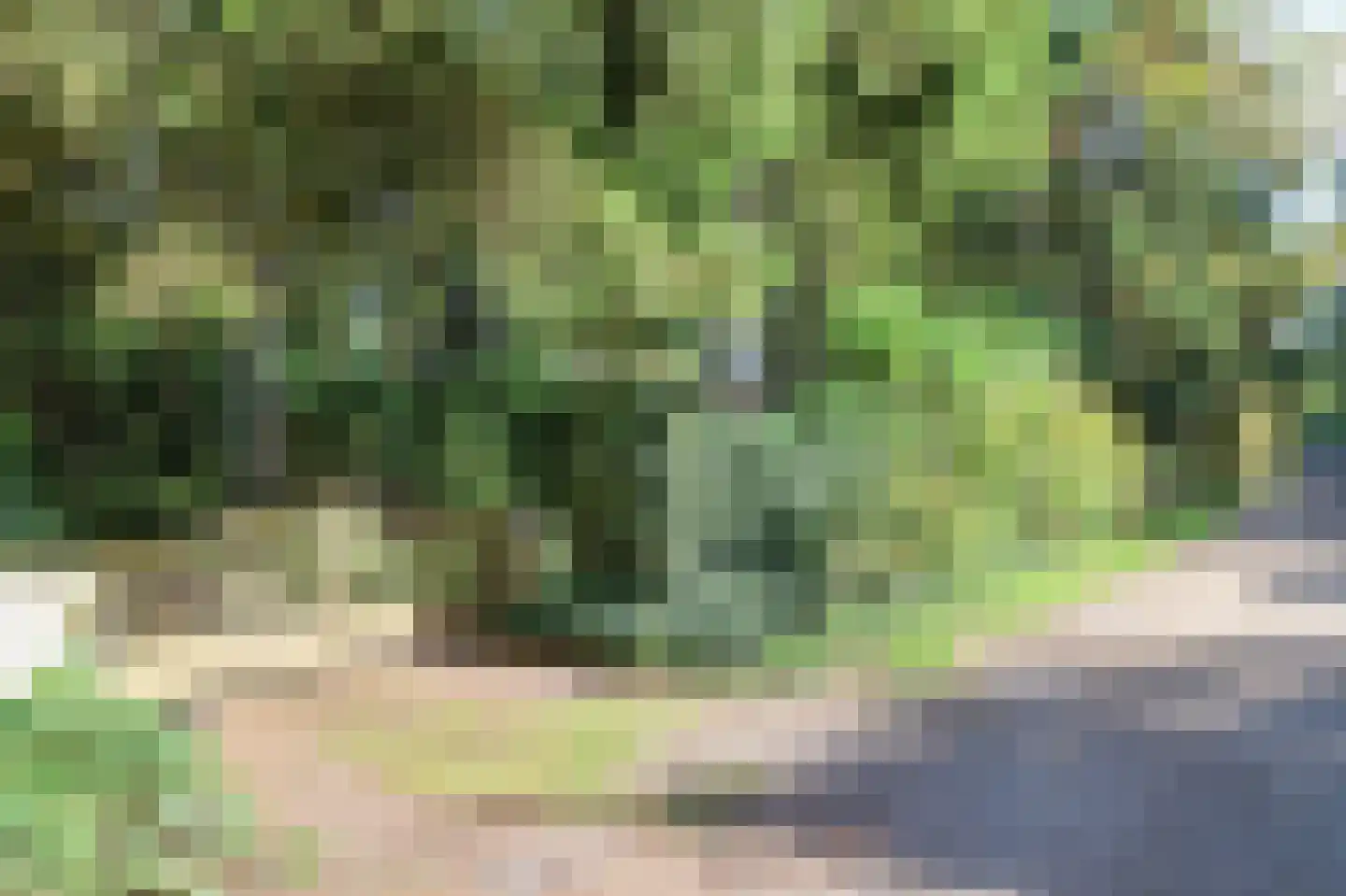 Zevenbergjesweg 27 K3 Voorthuizen thumbnail 46