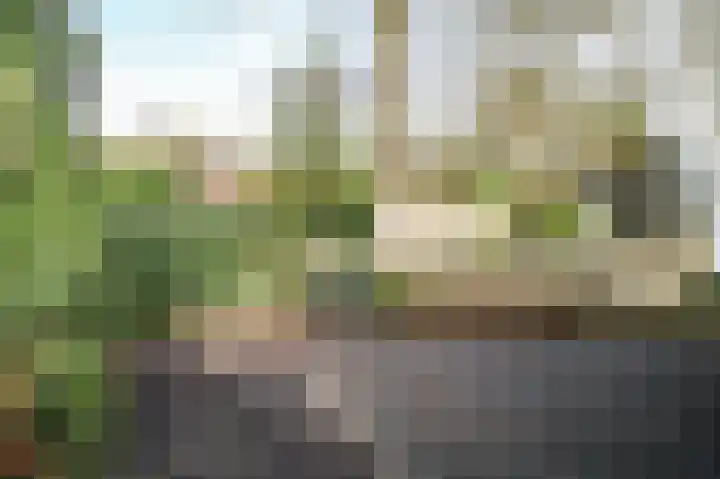 Zevenbergjesweg 29 05 Voorthuizen thumbnail 23