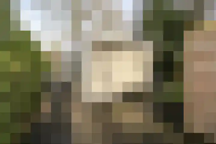 Zevenbergjesweg 29 05 Voorthuizen thumbnail 24