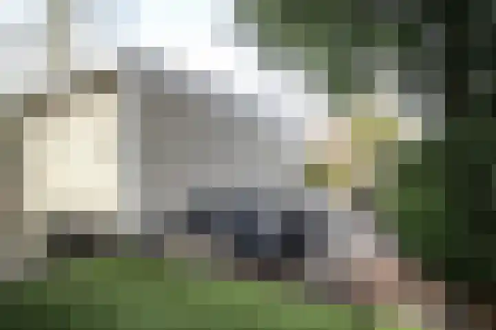 Zevenbergjesweg 29 05 Voorthuizen thumbnail 26