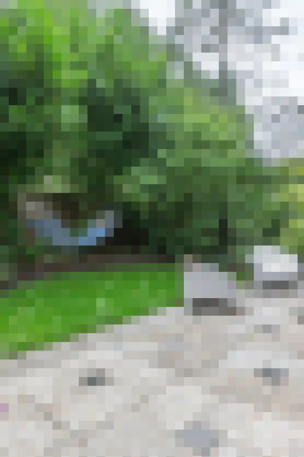 Zevenbergjesweg 29 11A Voorthuizen thumbnail 18