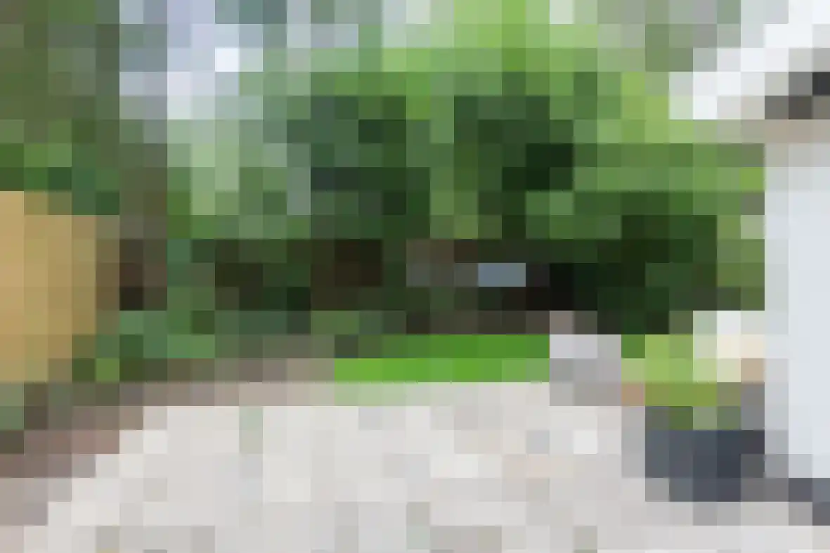 Zevenbergjesweg 29 11A Voorthuizen thumbnail 20