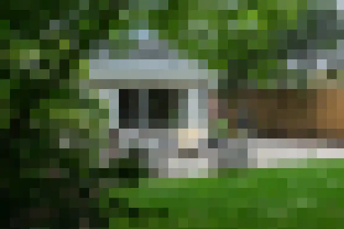 Zevenbergjesweg 29 11A Voorthuizen thumbnail 21