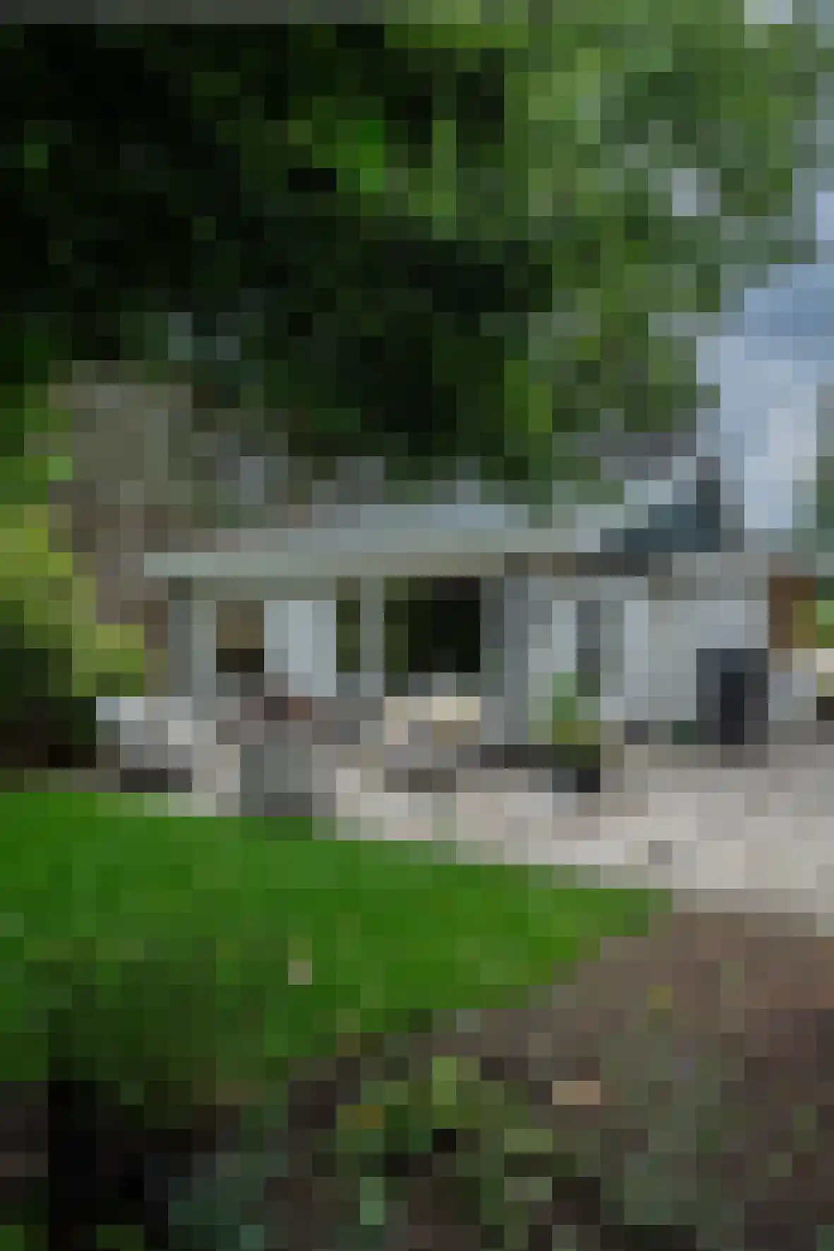 Zevenbergjesweg 29 11A Voorthuizen thumbnail 22