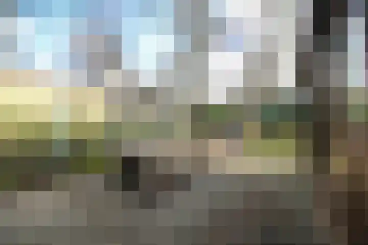 Zevenbergjesweg 29 22 Voorthuizen thumbnail 31