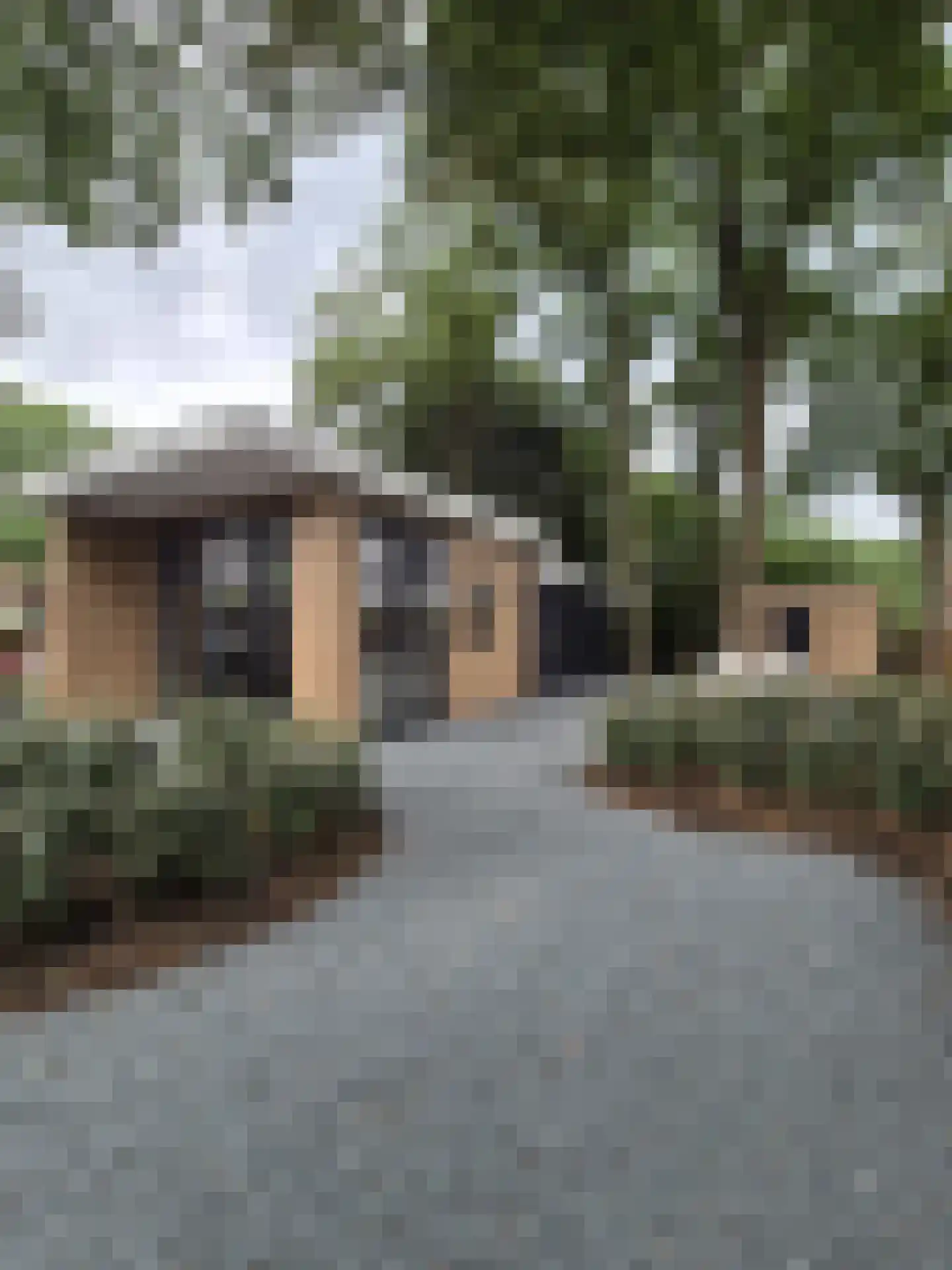 Zevenbergjesweg 29 23 Voorthuizen thumbnail 6