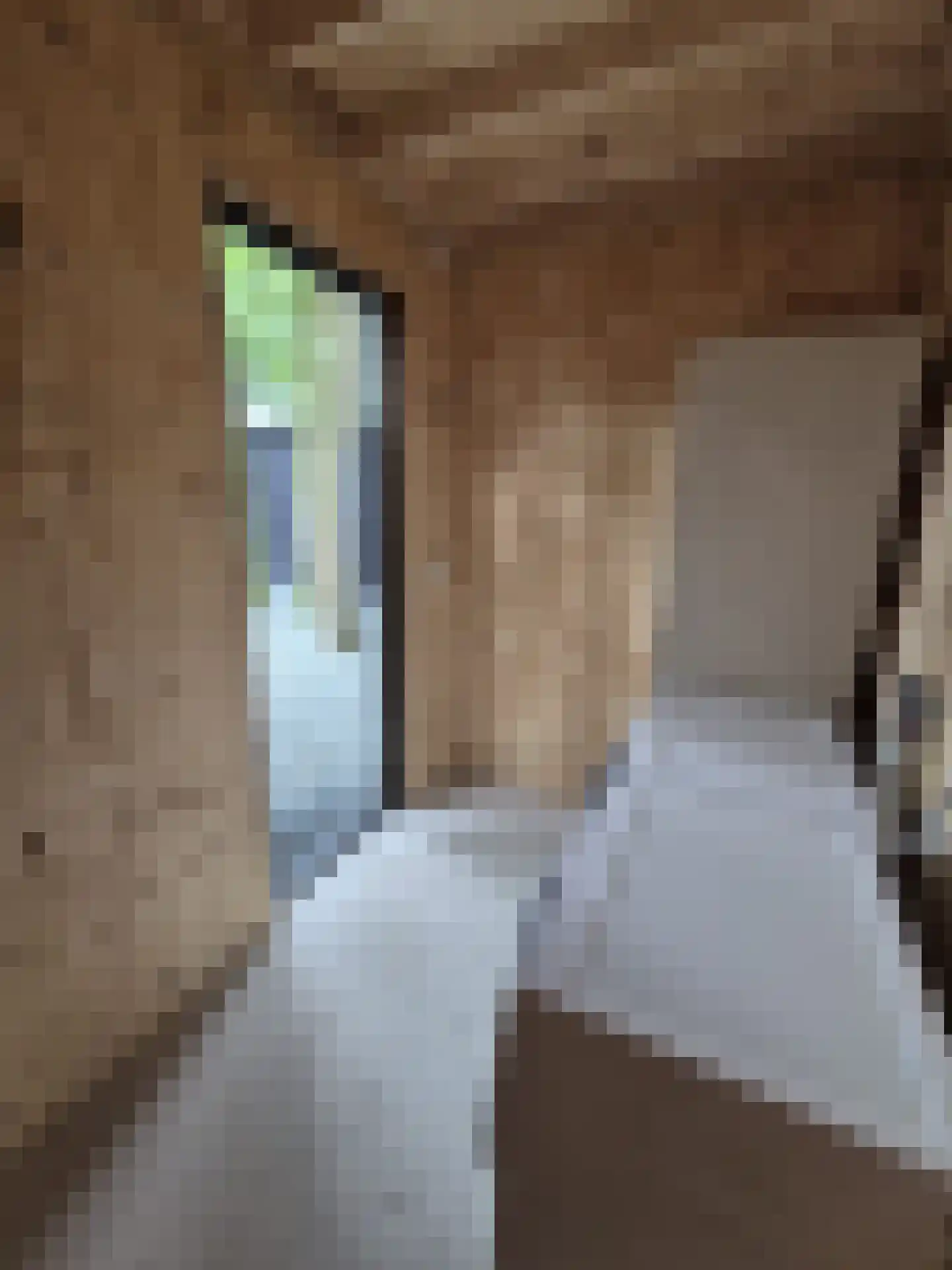 Zevenbergjesweg 29 23 Voorthuizen thumbnail 7