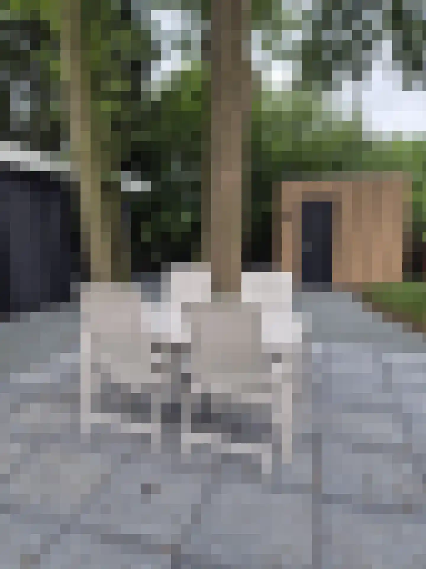 Zevenbergjesweg 29 23 Voorthuizen thumbnail 8