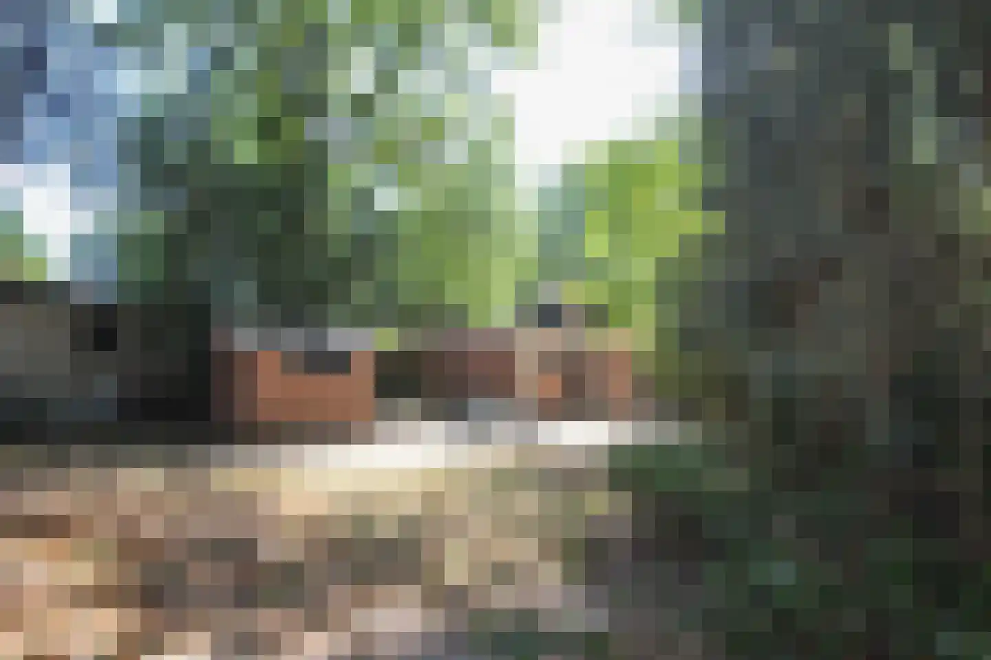 Zevenbergjesweg 29 34 Voorthuizen thumbnail 21
