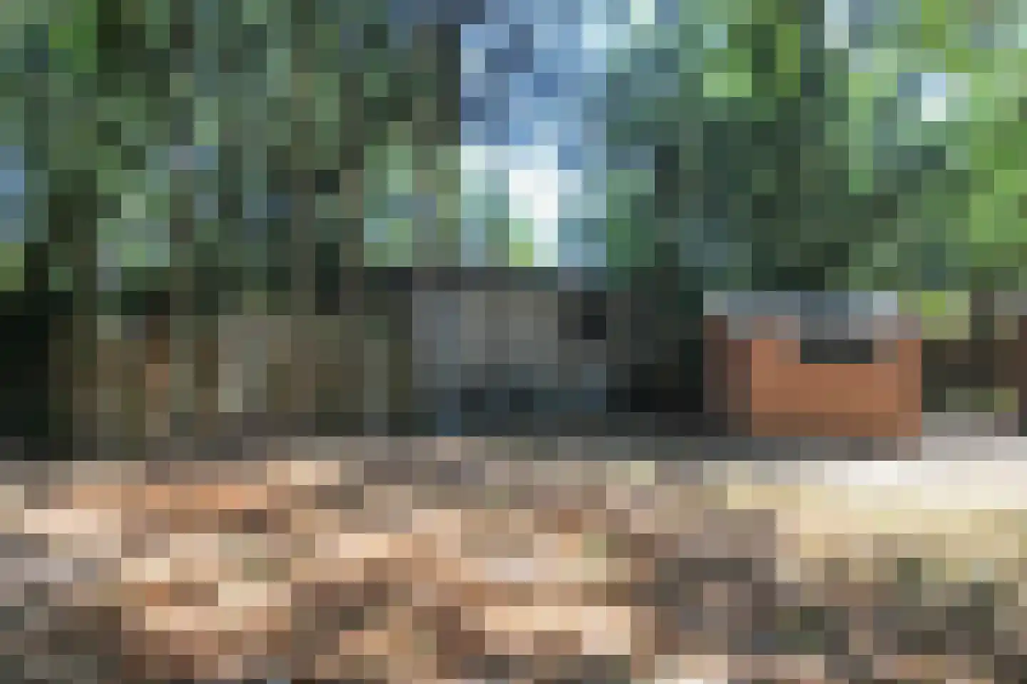 Zevenbergjesweg 29 34 Voorthuizen thumbnail 22