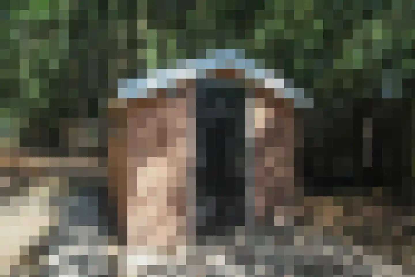 Zevenbergjesweg 29 34 Voorthuizen thumbnail 24