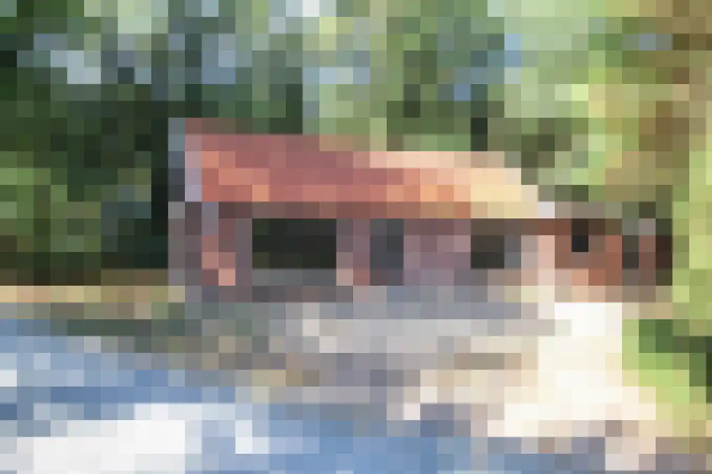 Zevenbergjesweg 29 34 Voorthuizen thumbnail 25