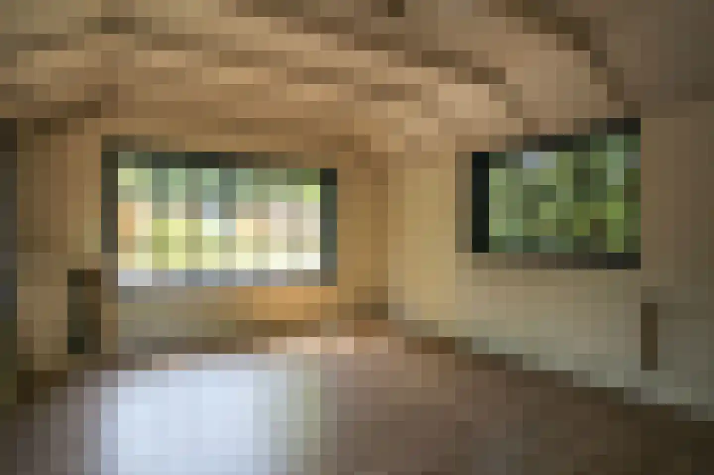 Zevenbergjesweg 29 34 Voorthuizen thumbnail 6